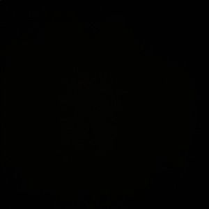 Meet your Posher, Princess